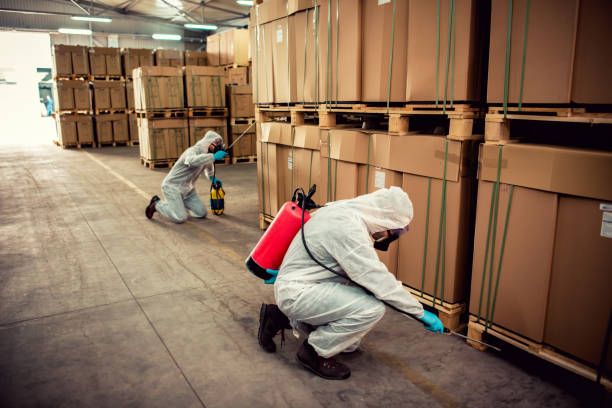 Best Best Pest Control Companies  in Clarksville, IN