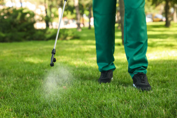 Trusted Clarksville, IN Pest Control Experts