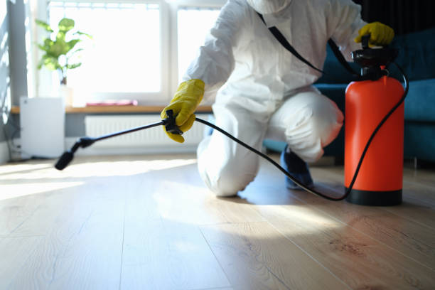Flea Control Services in Clarksville, IN
