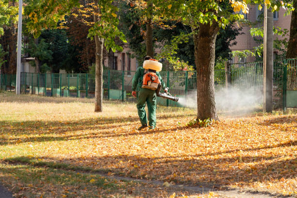 Best Best Pest Control Companies  in Clarksville, IN