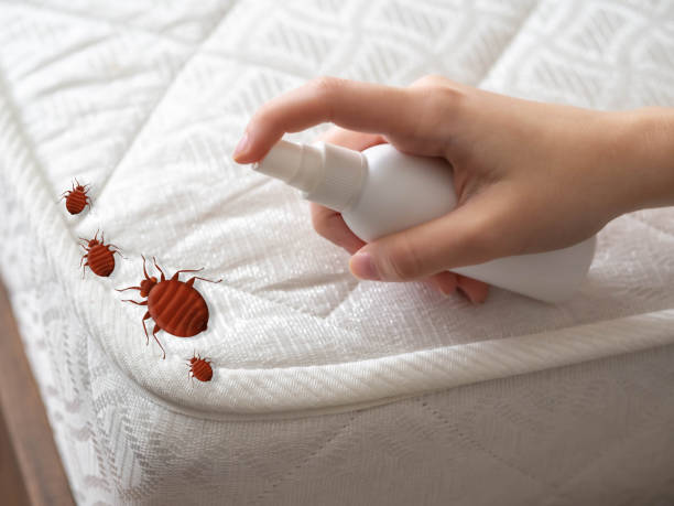 Pest Prevention Services in Clarksville, IN