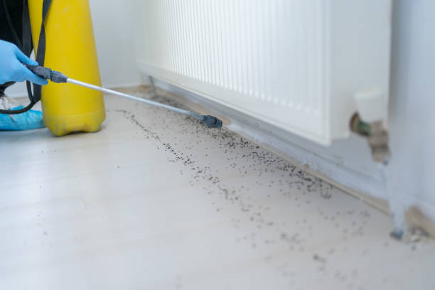 Best Local Pest Control Services  in Clarksville, IN